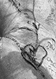Intimacy 18